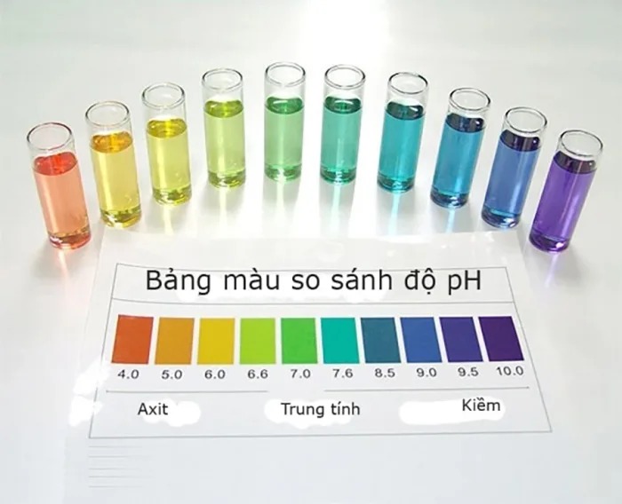 Kiểm tra độ nhiễm phèn
